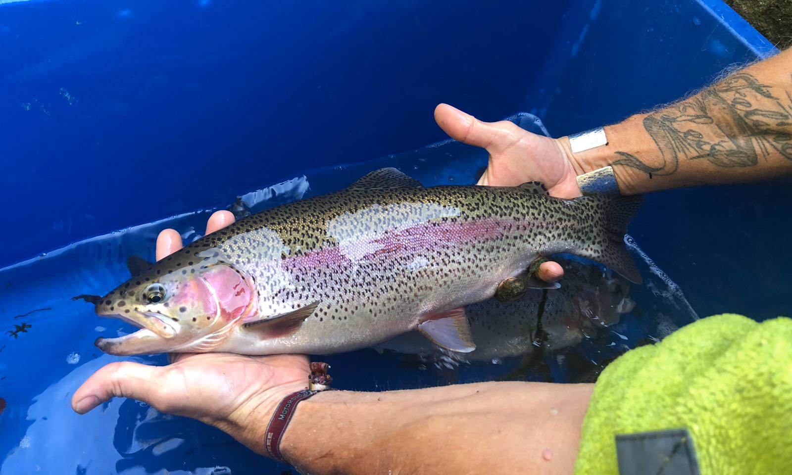 Fischzucht am Limes